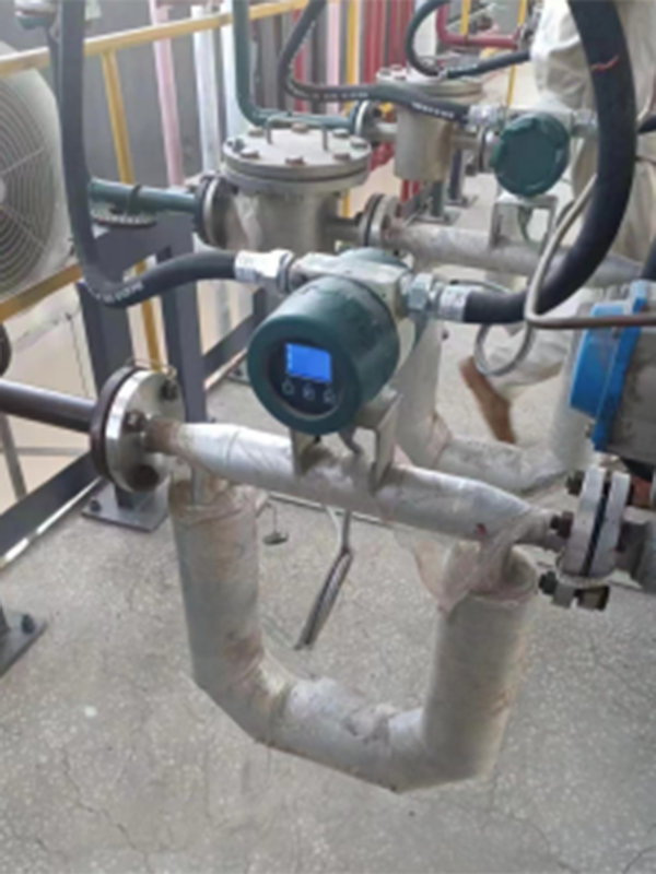Coriolis Mass Flow Meter4