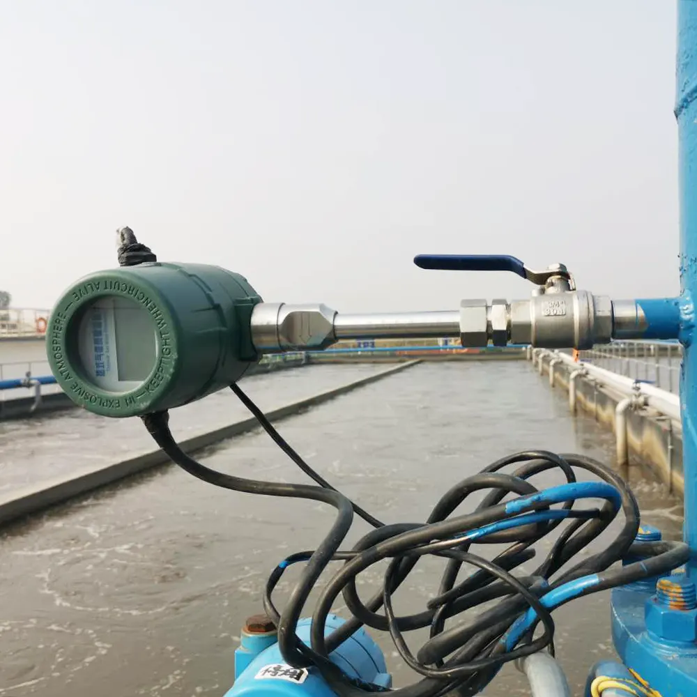 Thermal Mass Flow Meter