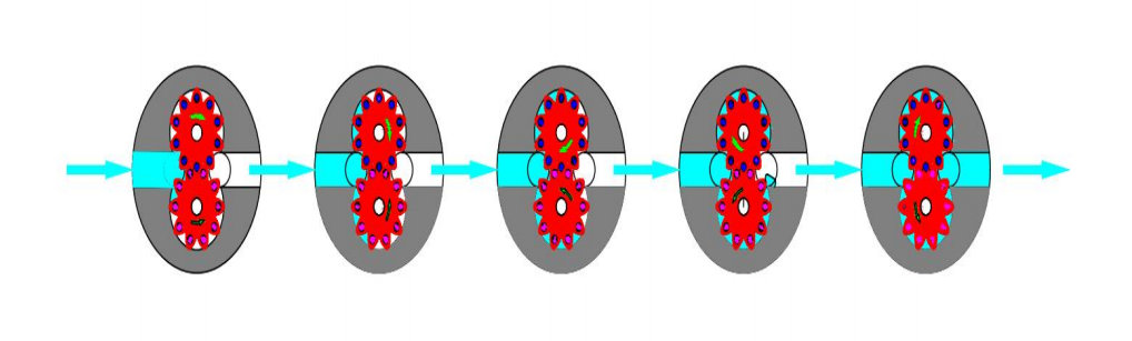Spur Gear Flow Meter