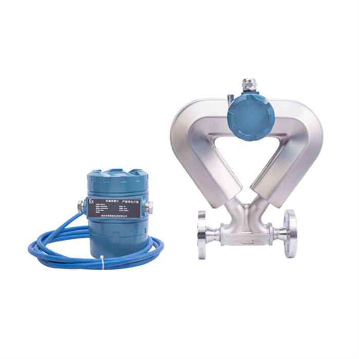 Coriolis Mass Flow Meter