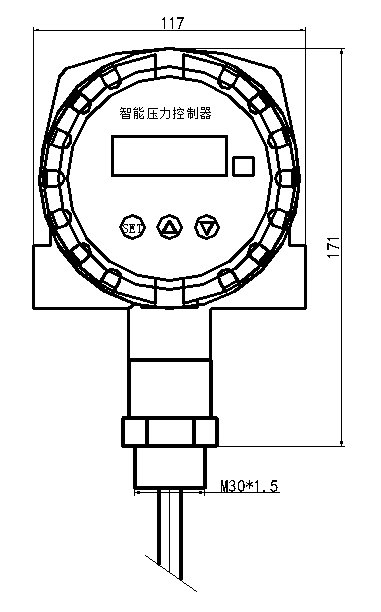 Submersible Level Gauge