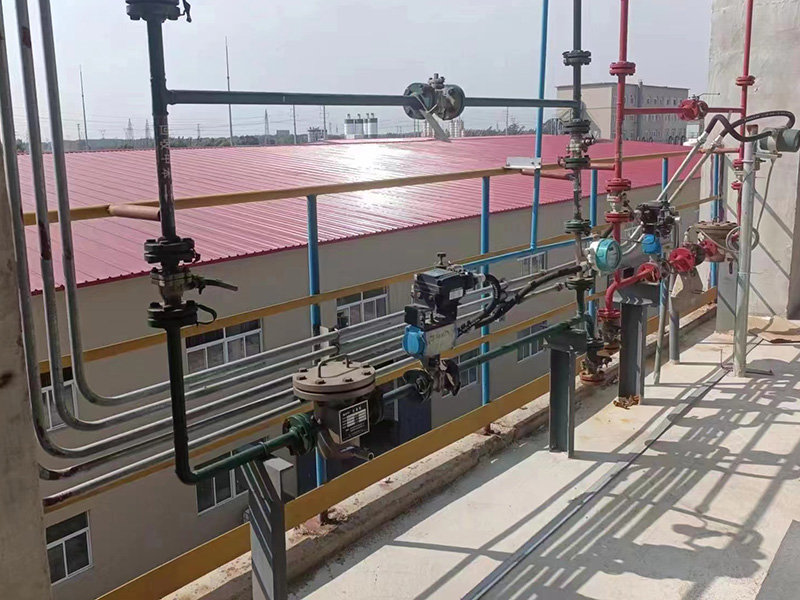 Coriolis Mass Flow Meter