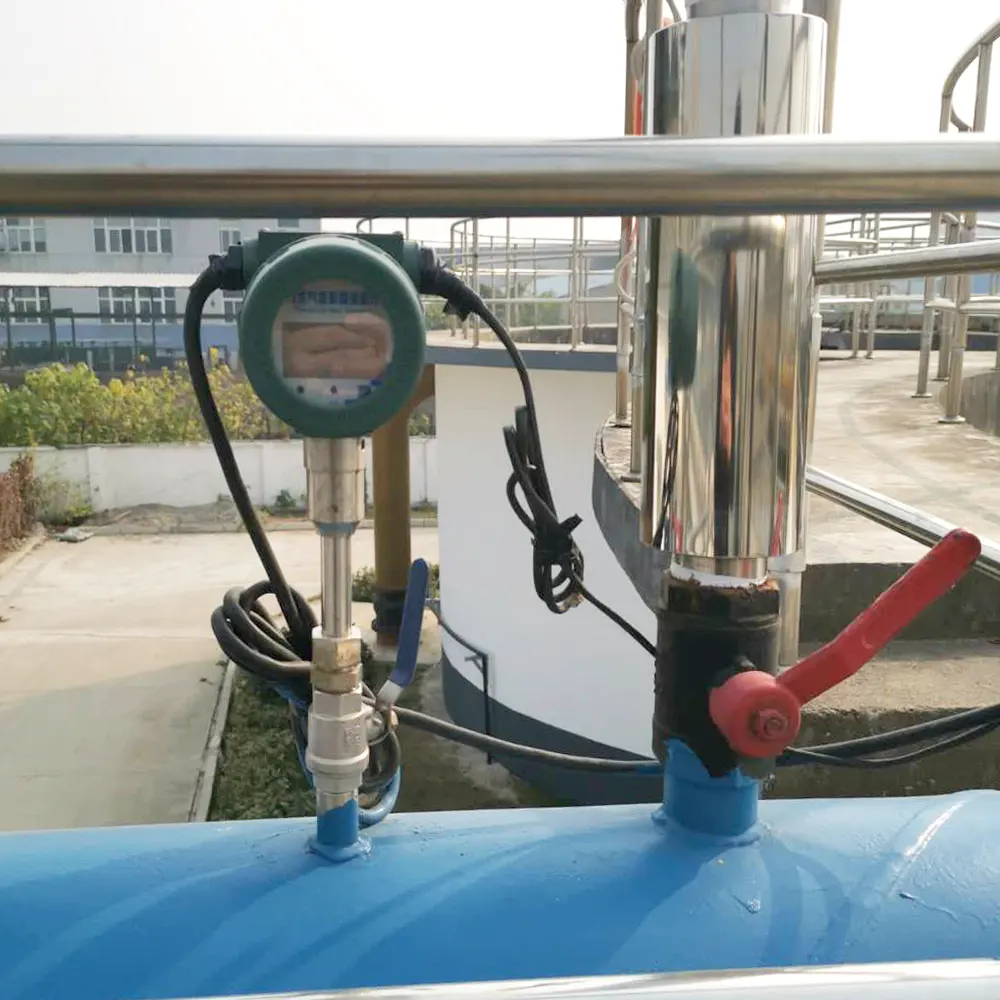 Thermal Mass Flow Meter1