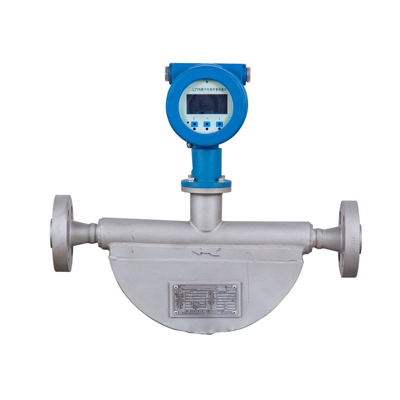 LZYN Mass Flow Meter