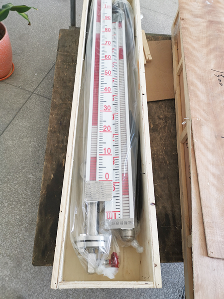 Magnetic flap level gauge site2