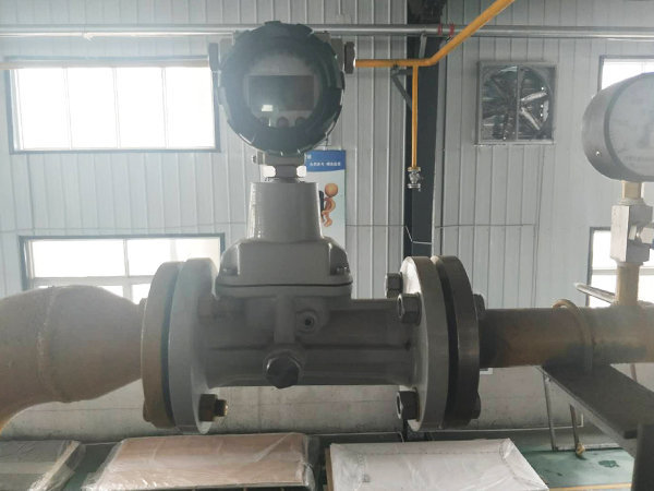 Precession Vortex Flowmeter2