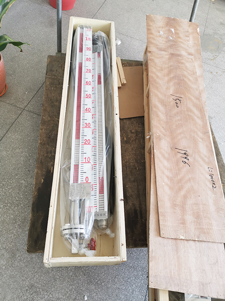 Magnetic flap level gauge site3